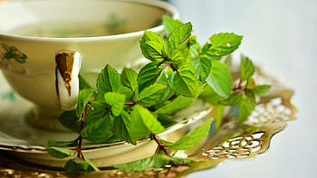 Peppermint leaves tea cup, , background, Refreshing drink HD wallpaper