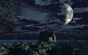 Scary Forest At Night HD wallpaper