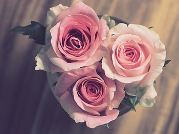 Bouquet, pink roses, bloom HD wallpaper