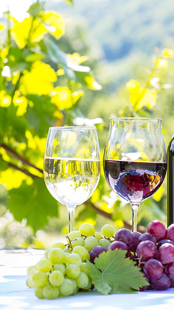 Mobile , Wine-themed, On-the-go indulgence, Wine lovers HD phone wallpaper