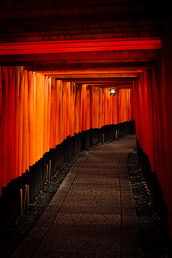Miscellanea, Miscellaneous, Turn, Path, Corridor, Passage HD phone wallpaper