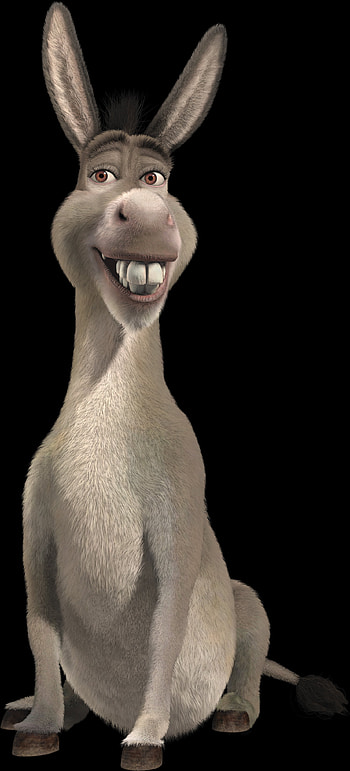 Donkey, jaw, whiskers HD phone wallpaper