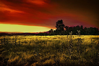Sunset , nature, sunsets HD wallpaper