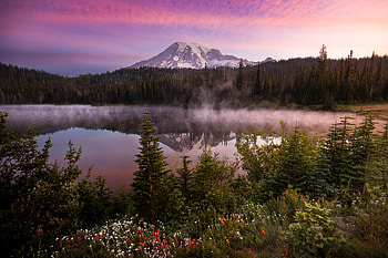 Morning Light At Mount Rainier National Park, national-park, mountains, nature HD wallpaper