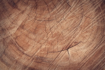 Detailed close-up of rustic brown wood texture, revealing natural grain and cracks. HD wallpaper