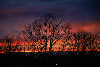 Silhouette Sunset: Nature’s Fiery Evening Canvas, silhouette, graphy, sunset HD wallpaper