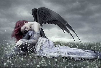 DANDELIONS, FIELD, WINGS, FEMALE, ANGEL HD wallpaper