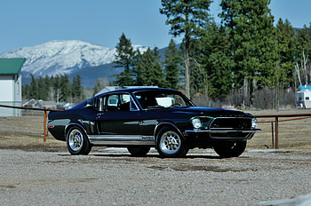 Black, Shelby Cobra GT500 HD wallpaper