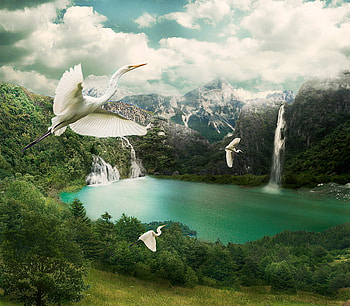 dream_valley, birds, clouds, trees, sky, nature, fly, lake HD wallpaper