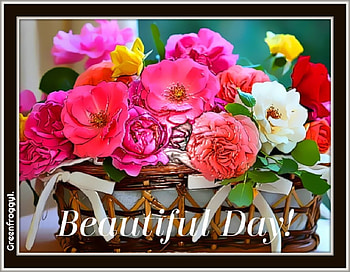 BEAUTIFUL DAY, DAY, BEAUTIFUL, COMMENT, CARD HD wallpaper