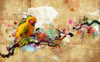 Colorful, abstract, flowers, parrot, nice HD wallpaper