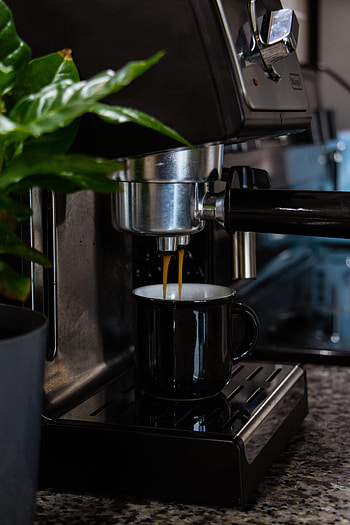 Food, Leaves, Coffee, Plant, Cup, Mug, Coffee Machine HD phone wallpaper