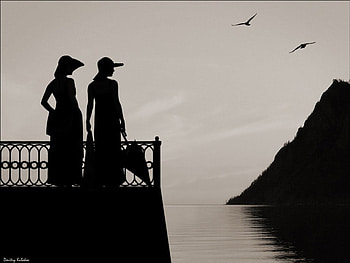 silhouettes, birds, women, water, terrace, hats HD wallpaper