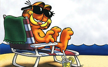 Sunbathing, Garfield HD wallpaper