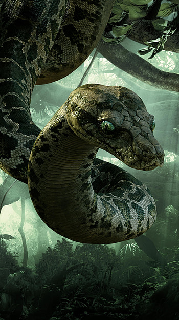 The Jungle Book (2022) movie HD phone wallpaper