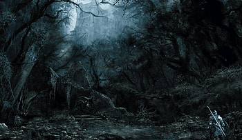 Shaded Woods, Dark Souls III HD wallpaper