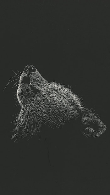 Best wolf , Top-notch quality, Impressive collection, Ultimate wolf experience HD phone wallpaper