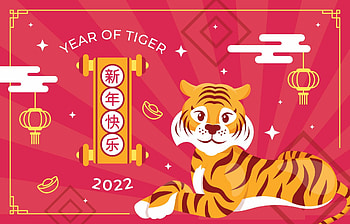 Year of the Tiger, background HD wallpaper
