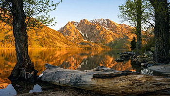 Jenny Lake, Grand Teton National Park, trees, sky, mountains, usa, wyoming HD wallpaper