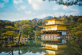Nature, Trees, Lake, Pagoda, Temple HD wallpaper
