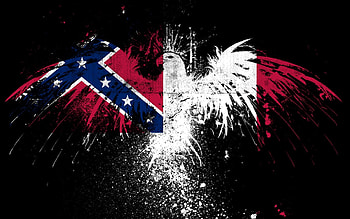 ... confederate flag usa america united states csa civil war rebel; rebel flag ... HD wallpaper