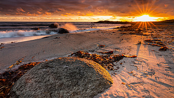 Stones Dry Leaves On Beach Sand Ocean Waves During Sunset Nature HD wallpaper