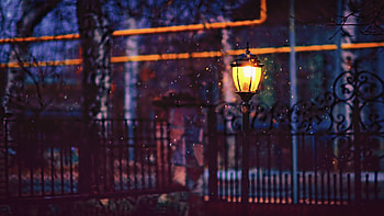 Street Light Fence , street, light, winter, snow, graphy, depth-of-field HD wallpaper