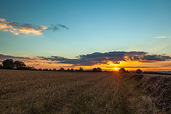 Nature, Trees, Sunset, Grass, Field HD wallpaper