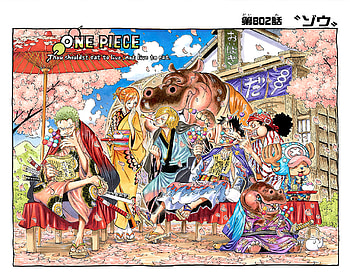 One Piece Manga Colored Cover Page 802, Roronoa Zoro, Nami (One Piece), Sanji (One Piece), Monkey D. Luffy, Usopp (One Piece), Anime, One Piece HD wallpaper