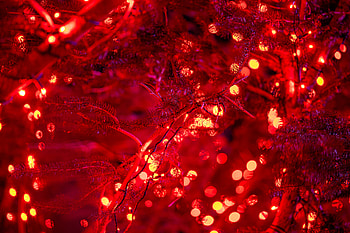 Holidays, New Year, Lights, Christmas, Holiday, Glow, Garland HD wallpaper