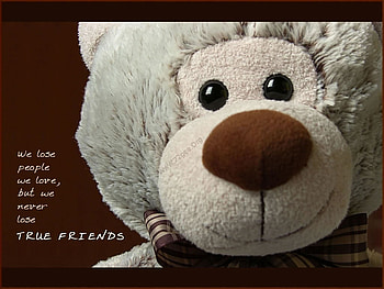 Frienship, toy, abstract, bear, quote HD wallpaper