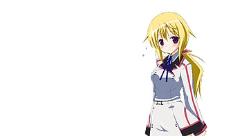Infinite Stratos , , Tablet HD wallpaper