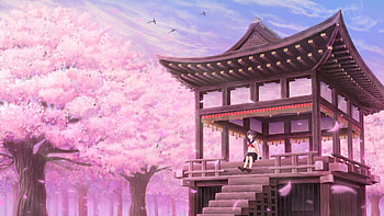 Sakura, Cherry Tree, Anime, Original HD wallpaper