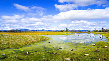 Landscape, grass, nature, cloud HD wallpaper