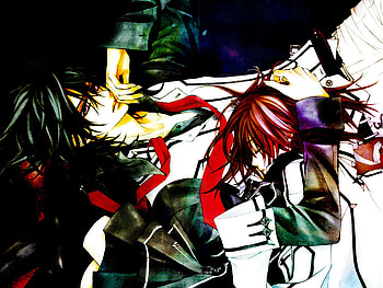 Yuuki and Kaname, kaname, knight, yuuki, vampire HD wallpaper