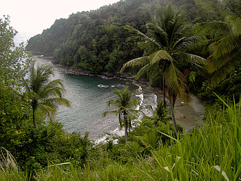 Living conditions, Dominica facts, Borgen Project, Caribbean travel HD wallpaper