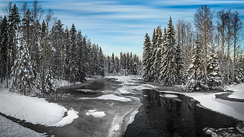Winter River, river, Winter, nature, tree HD wallpaper