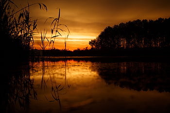 Nature, Sunset, Grass, Sky, Horizon HD wallpaper