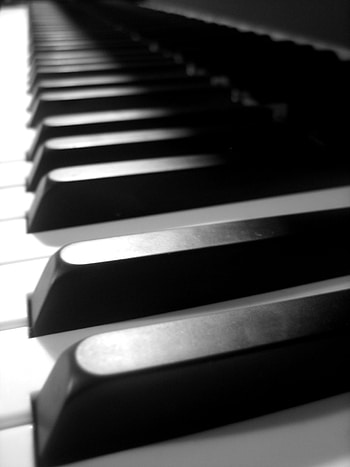 black and white keys, contrasting beauty, monochrome , musical harmony HD phone wallpaper