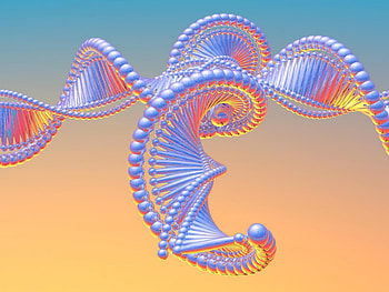 Frills, colors, fantasy, 3d HD wallpaper