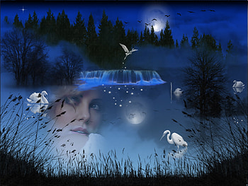 lake, swans, moonlight, goals, female HD wallpaper