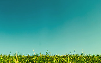 Grass and sky background, Vibrant colors, Refreshing visuals, Calm and serene HD wallpaper