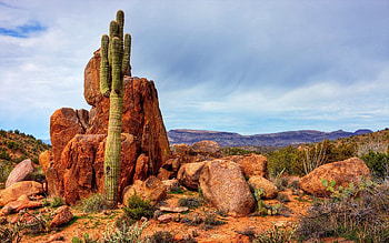 Nature, Stones, Sky, Mountains, Cactus HD wallpaper