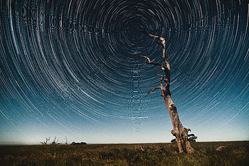 Nature, Stars, Wood, Tree, Movement, Traffic, Starry Sky, Long Exposure, Kaleidoscope HD wallpaper