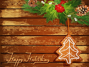 Happy holidays, winter, holidays, beautiful, cone, tree, background, decoration, pretty, christmas, branches, happy, wall, lovely, new year HD wallpaper