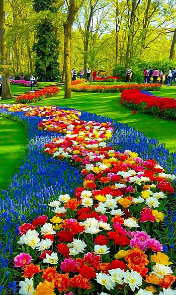 Visiting The Outdoors Garden Plants And Flowers. Beautiful flowers garden, Most beautiful gardens, Beautiful flowers, Garden Art HD phone wallpaper