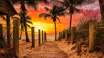 Tropical sunset, sea, palms, tropics, ecotic, paradise, beautiful, vacation, sunrise, fiery, beach, summer, rest, sands, sky, sunset, ocean, breeze HD wallpaper