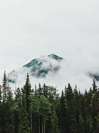 Nature, Trees, Clouds, Mountain, Vertex, Top HD phone wallpaper