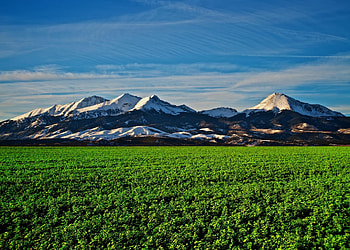 Colorado, landscape, grass, nature, mountain HD wallpaper