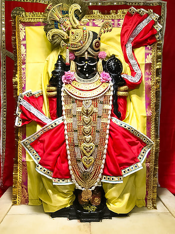 Dwarkadhish , kanha, dwarka, yadav, murlidhar, krishna, ahir HD phone wallpaper